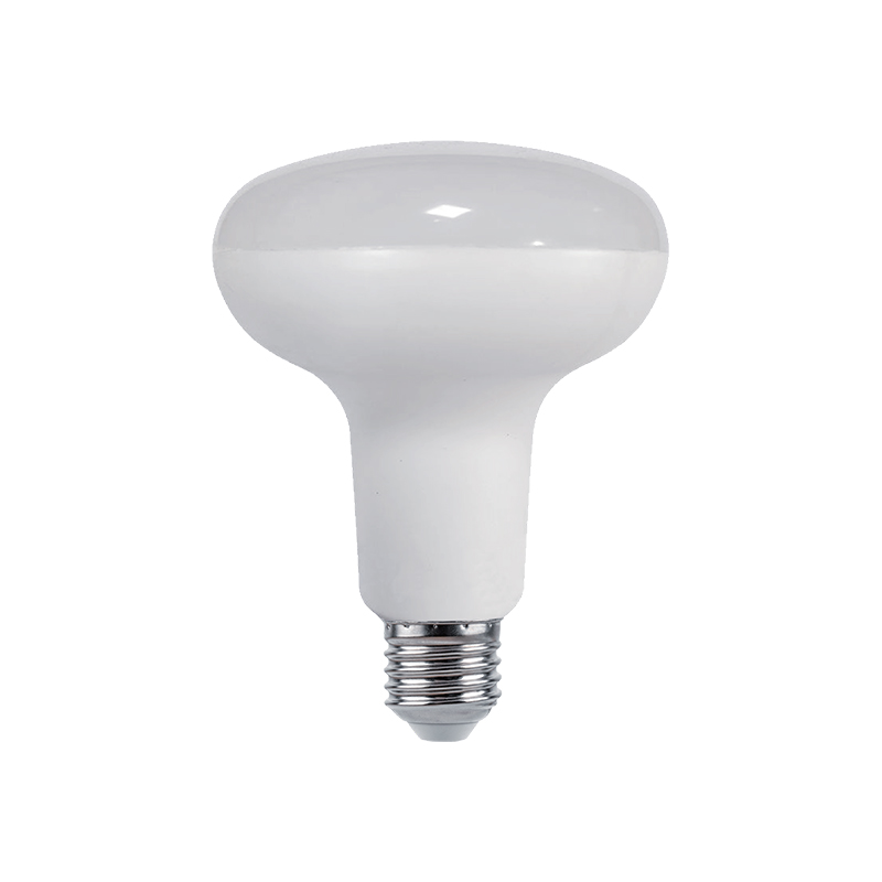 R Series Led SMD bulbi