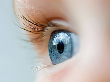 Xin Guang Yuan (nova luminaria) lucendi technology Co., Ltd.