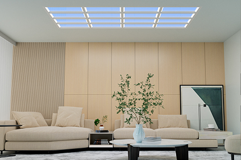 Xin Guang Yuan (nova luminaria) lucendi technology Co., Ltd.